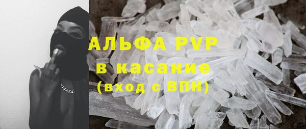 шишки Алзамай
