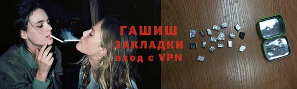 ешки Алексин