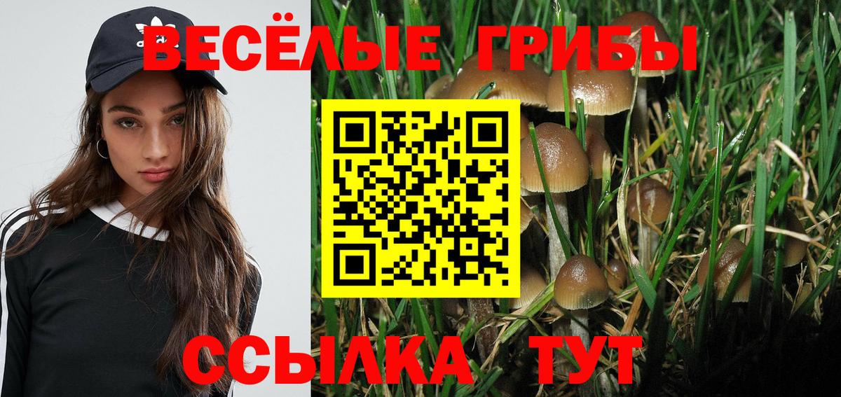 Псилоцибиновые грибы прущие грибы  Вход с VPN  Галлюциногенные грибы мицелий  Каменск-Шахтинский 