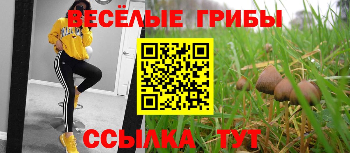 Псилоцибиновые грибы Psilocybine cubensis Каменск-Шахтинский